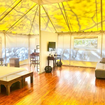 Hyla Nature Retreat Otel San José Pinilla Dış mekan fotoğraf