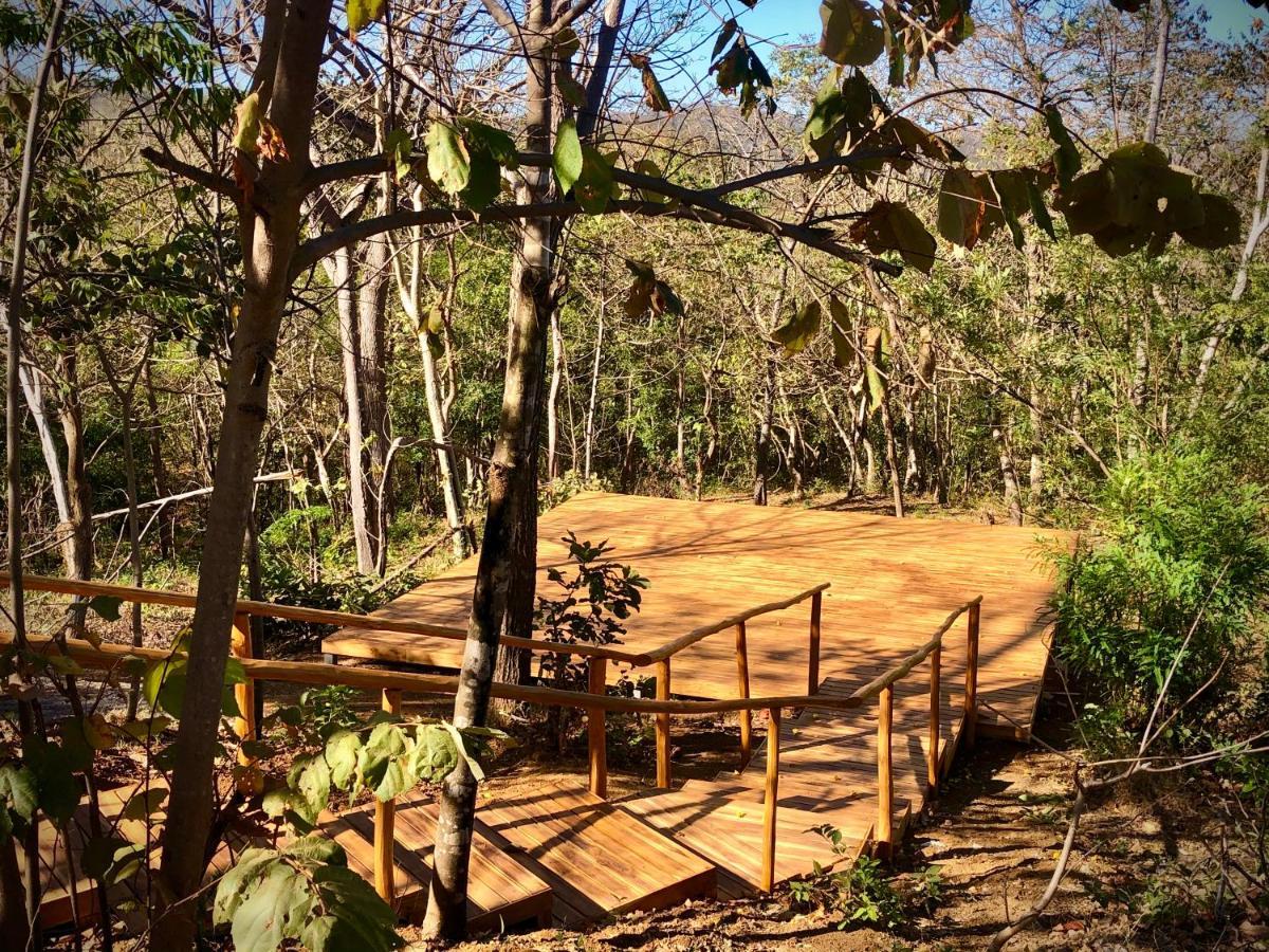 Hyla Nature Retreat Otel San José Pinilla Dış mekan fotoğraf