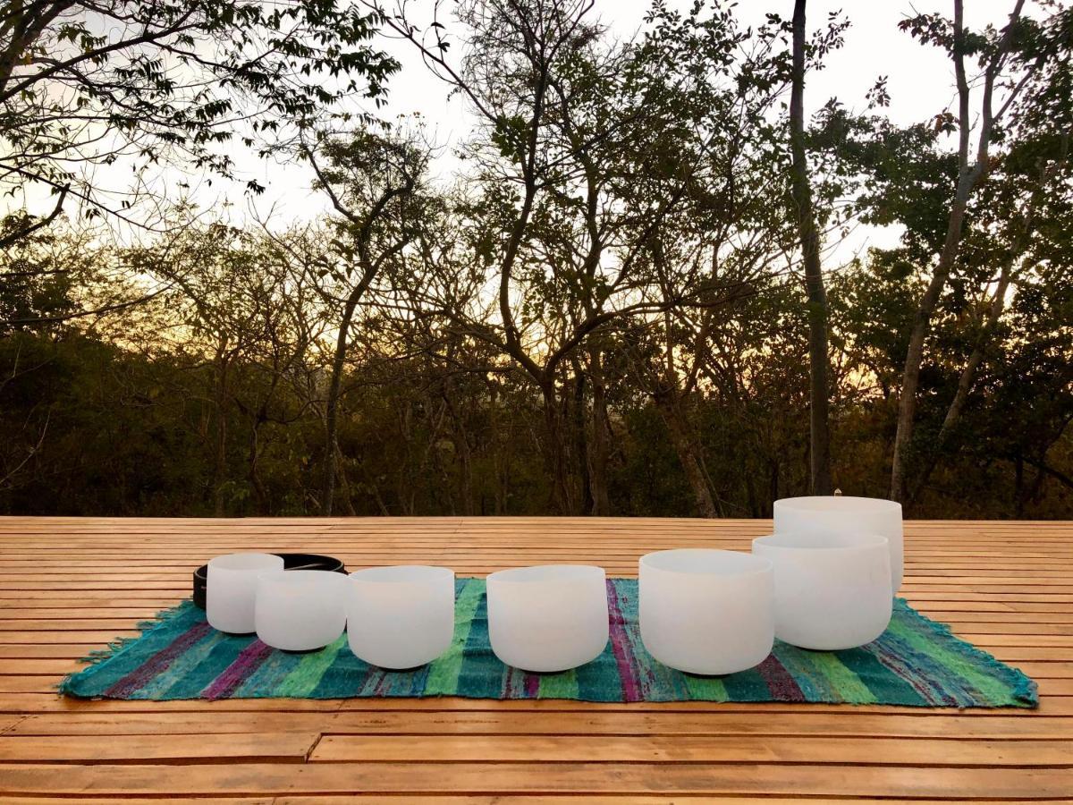 Hyla Nature Retreat Otel San José Pinilla Dış mekan fotoğraf