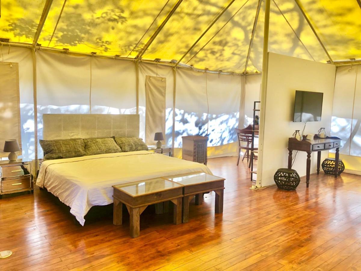Hyla Nature Retreat Otel San José Pinilla Dış mekan fotoğraf