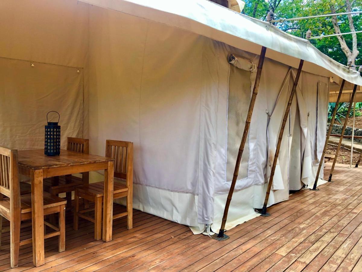Hyla Nature Retreat Otel San José Pinilla Dış mekan fotoğraf