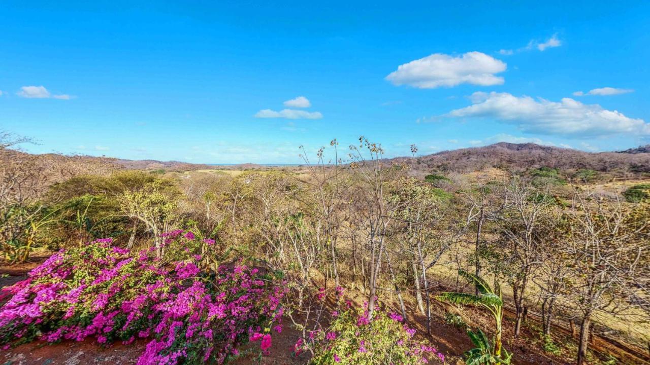 Hyla Nature Retreat Otel San José Pinilla Dış mekan fotoğraf